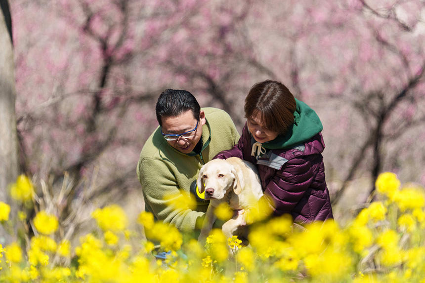 「2025アイメイト・サポートカレンダー」3月の写真（飼育奉仕）