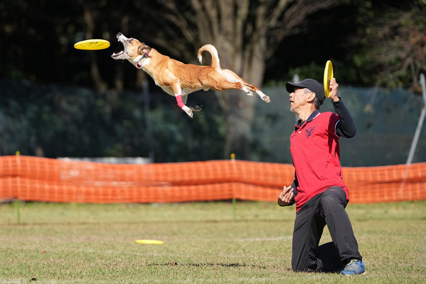 Dog Snapshot R 令和の犬景Vol.44　ディスクドッグ大会に見た「人と犬の絆」