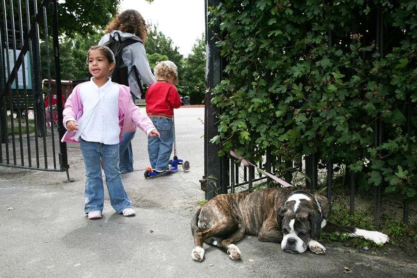 ロンドンの公園の一角の子ども向けのプレイグラウンドの入口で。特に犬の入場を禁止しているわけではないが、この時中に入ったのは飼い主の親子だけで犬はゲートの外で待機していた