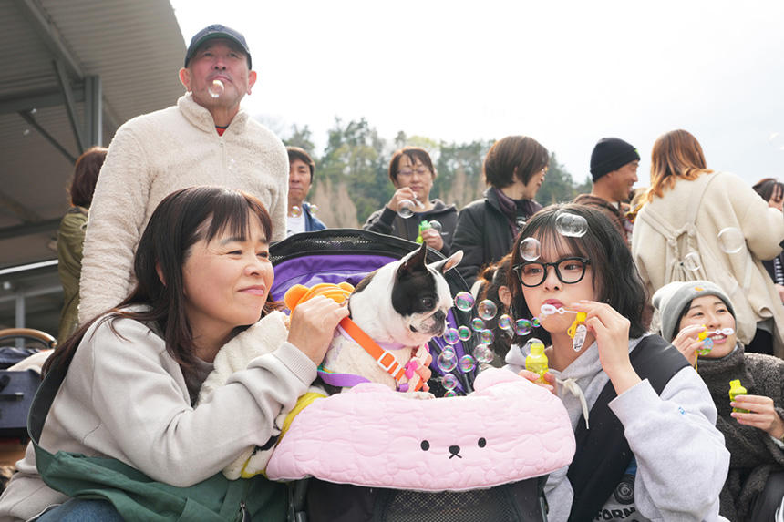 Dog Snapshot R 令和の犬景Vol.51　「お空組」のあの子に思いを馳せて