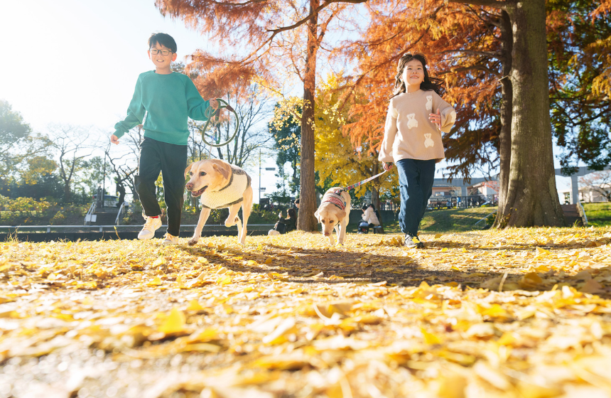 都立水元公園で。大きな国営・都道府県立の公園では“犬禁止”は稀