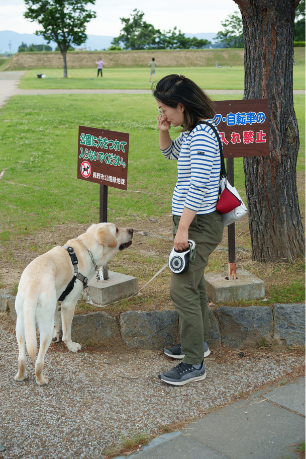 長野市の別の公園では、犬禁止看板に阻まれました