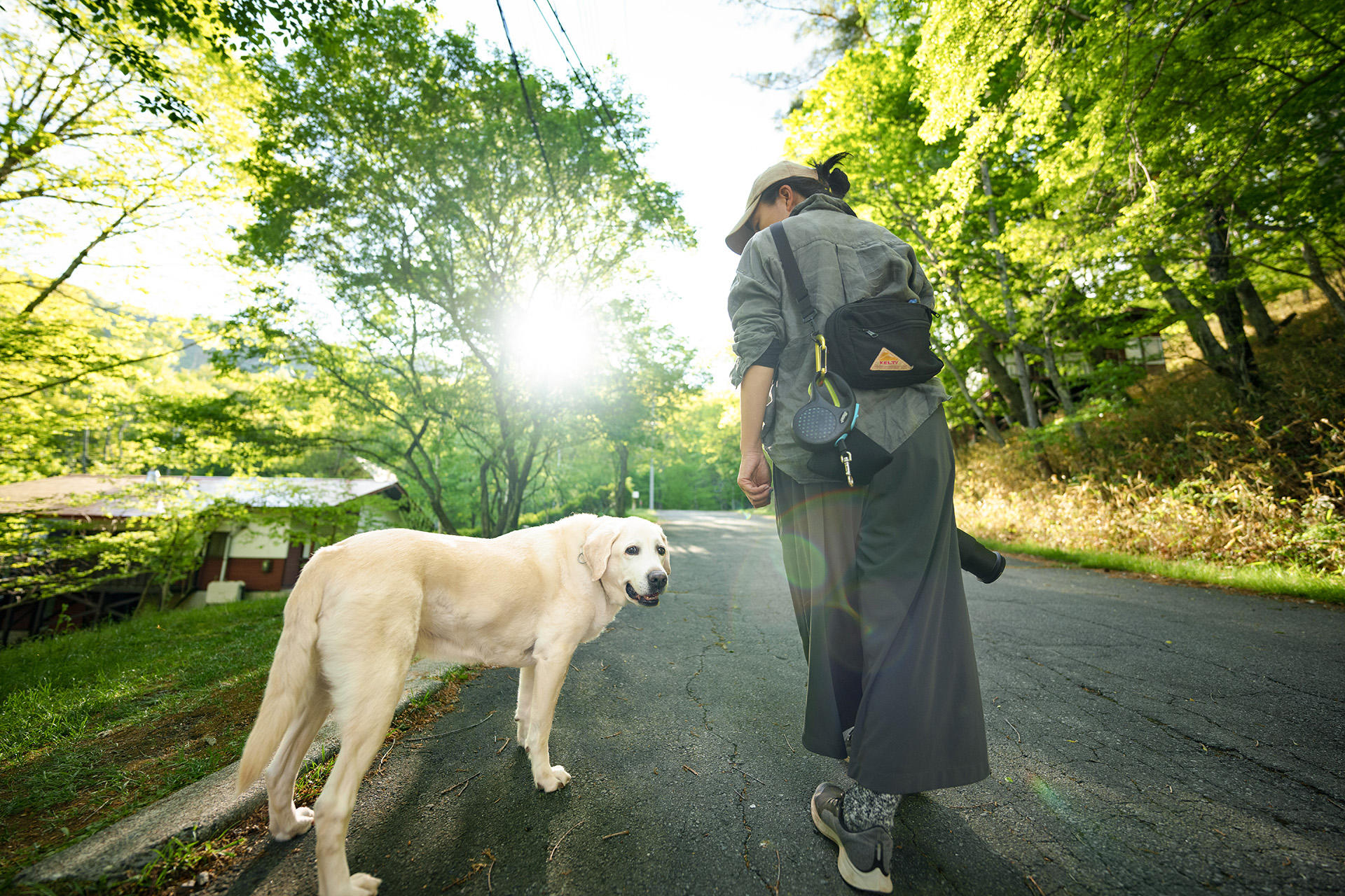「リタイア犬日記」出展作より　「僕はずっとここにいるよ」というマルコの声が今も聞こえてきます