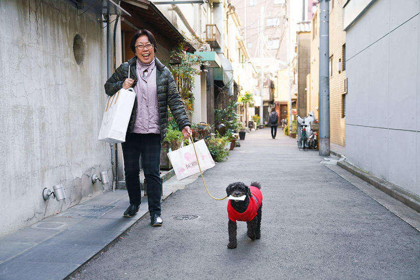 都会の裏路地で出会った手紙を咥えたトイプードル（2019年2月・東京都新宿区）