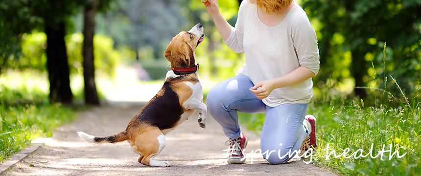 季節の変わり目に備えて、犬の免疫系のサポートを始めるなら。オススメハーブ