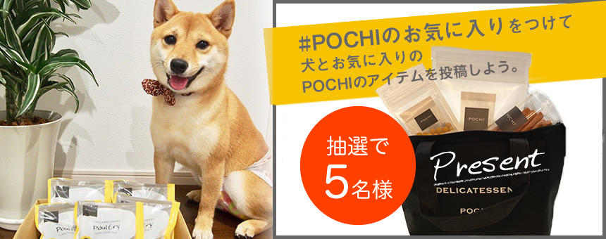 《インスタグラム限定》#POCHIのお気に入り ぼくの・私のポチお気に入りキャンペーン