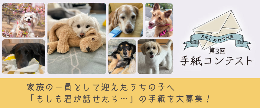 《犬のしあわせ企画》 第3回手紙コンテストもしも君が話せたら...」を想像して書いた手紙を大募集