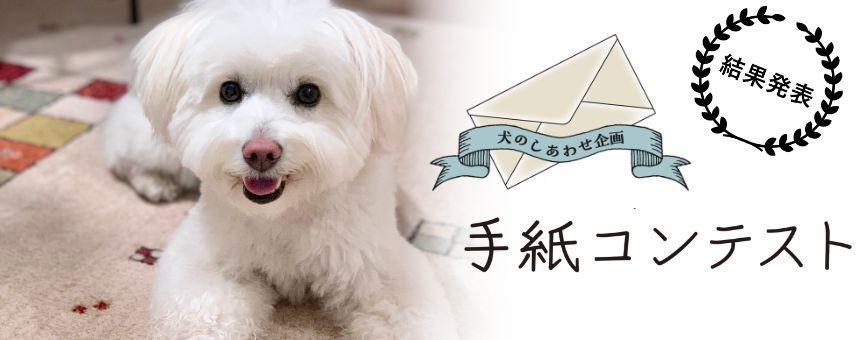 《第3回 犬のしあわせ企画 手紙コンテスト》結果発表のご案内