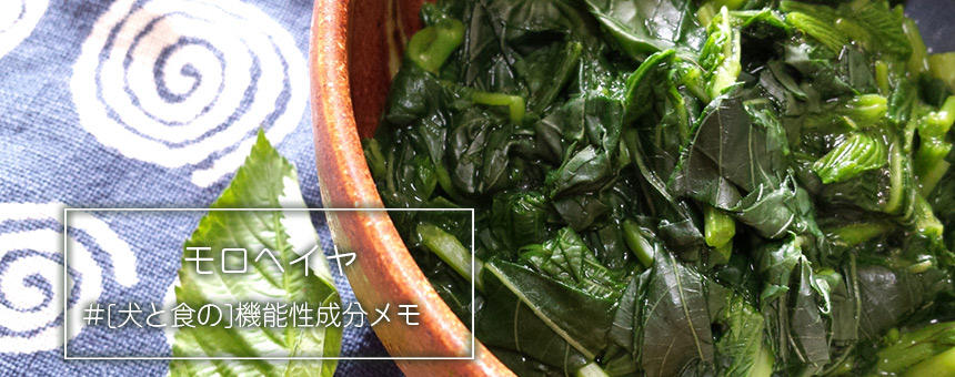 夏野菜・モロヘイヤの犬に嬉しい栄養と手作り食に取り入れる際のポイント