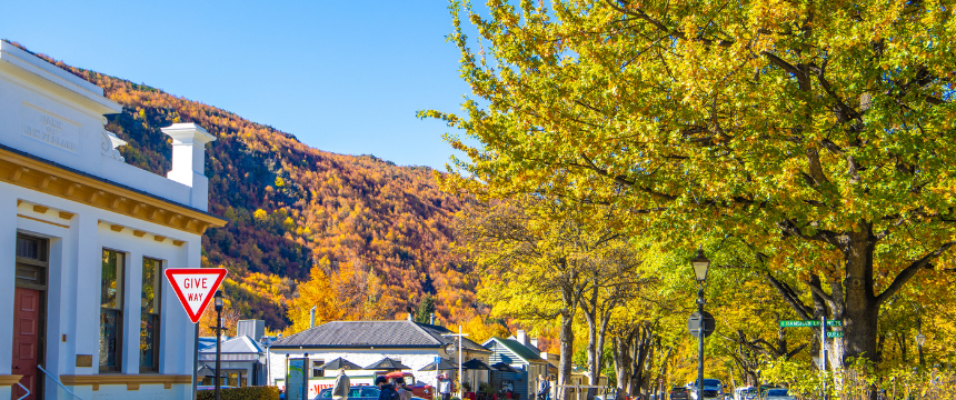 秋のNZで犬と一緒に楽しむ紅葉狩り＆オータム・フェスティバル～南半球のDog's letter～