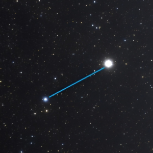 こいぬ座。明るく輝くプロキオンが目印。