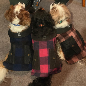 寒い日はジャケットを着用