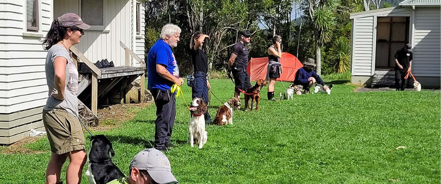 年3回行われるトレーニングキャンプに参加するハンドラーと犬のチーム（Photo: Helen Neale）