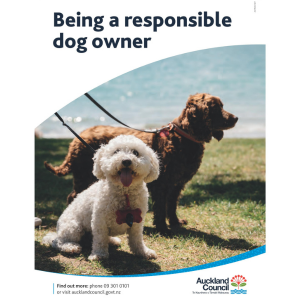 RDOLのパンフレット。主な犬ルールが記載されており、これを読んで理解すれば試験に合格できます。