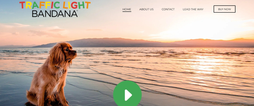 Traffic Light Bandanas公式サイト