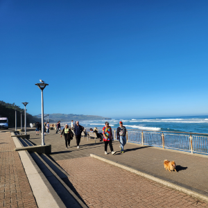 Traffic Light Bandanasが開発されたダニーデン。このビーチにもアシカやオットセイが現れることがあります