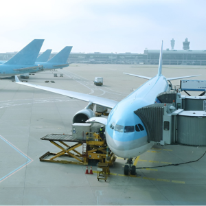 条件を満たした犬を機内持ち込みできる大韓航空