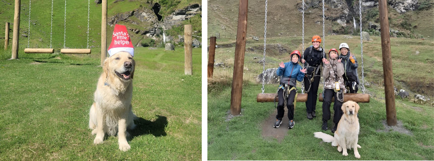 写真左：クリスマスのサンタ帽をかぶったブラディ／写真右：お客さんと記念撮影するブラディ