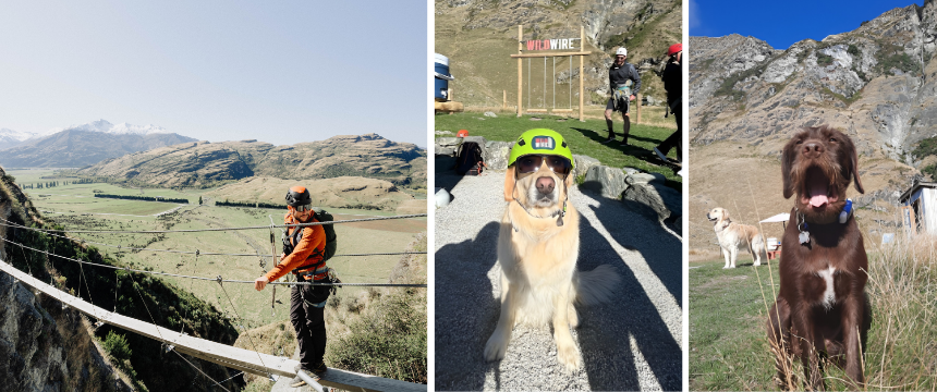 大自然がオフィス！クライミング会社で働く犬たちのお仕事～南半球のDog's letter～