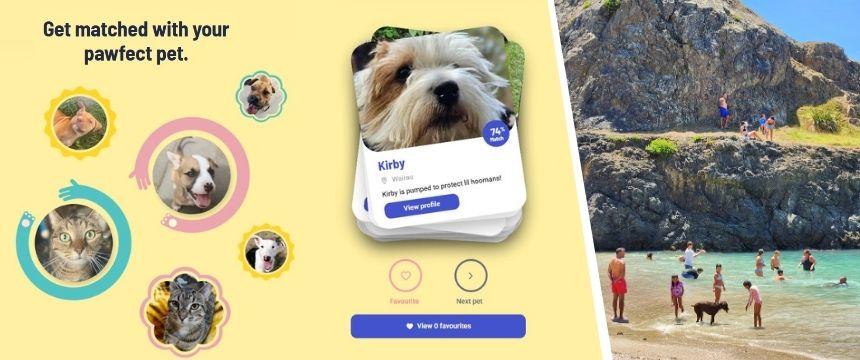 最適な相棒が素早く見つかる！保護犬と飼い主を結ぶマッチングアプリとは？～南半球のDog's letter～
