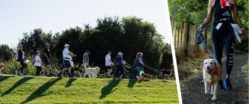 犬も飼い主も楽しいトレイルウォーク＆ランイベント「Walk N' Wag」をリポート～南半球のDog's letter～