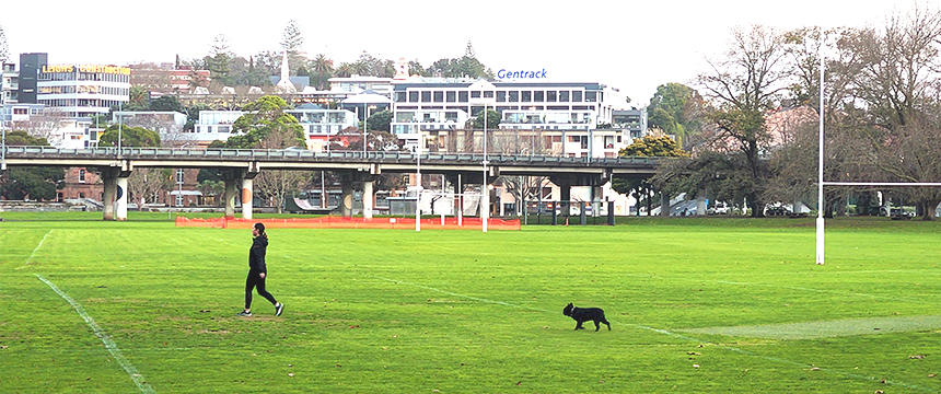 犬と一緒に大自然の中で遊ぶ、NZのライフスタイル　～南半球のDog's letter～