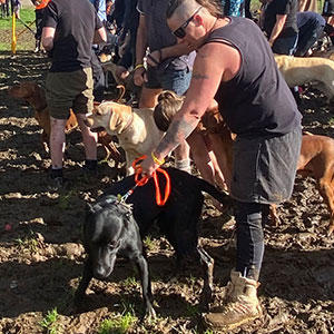 ワイルドで犬が大好き！そんなニュージーランド人にぴったりのイベントなのです。