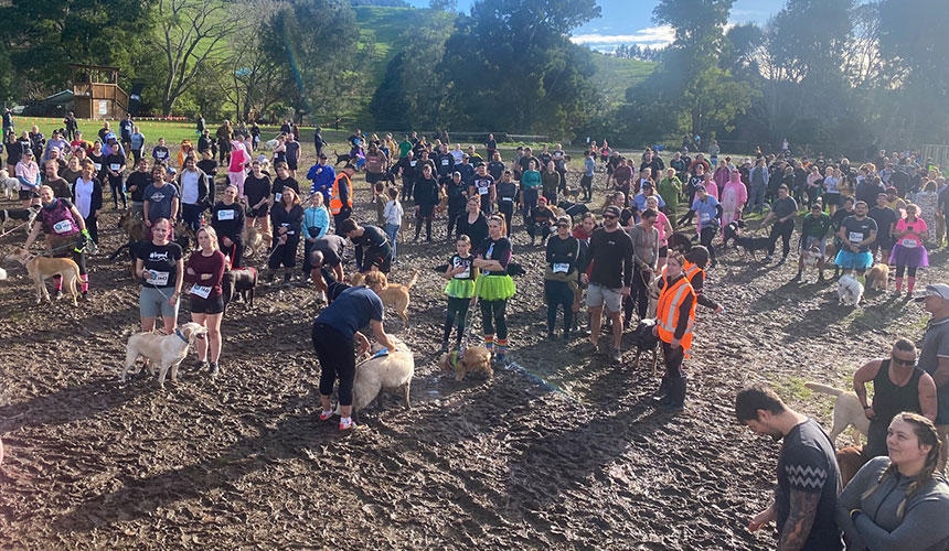 こんなにたくさんの犬と飼い主が参加する大人気イベント。