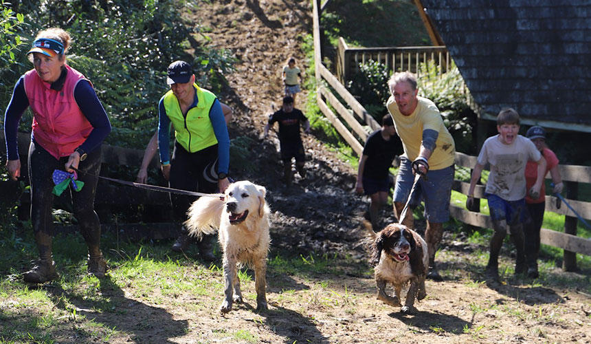 コースが終盤になっても犬は元気いっぱい！飼い主が犬に先導されるような形になってしまうことも…。