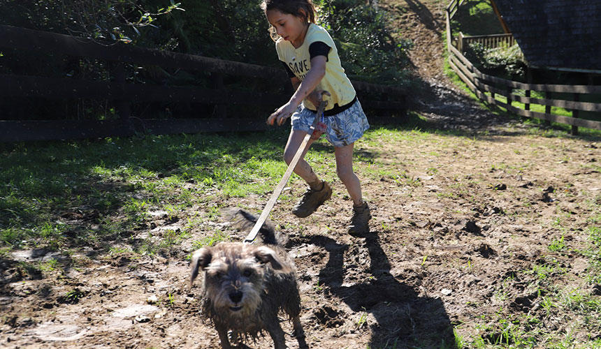 小さな犬と女の子。犬と一緒に何かに挑戦する、という経験はきっと素敵な思い出になったはず。