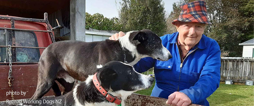 働く犬のセカンドステージをバックアップ！引退したワーキングドッグが家庭犬になるまで～南半球のDog's letter～