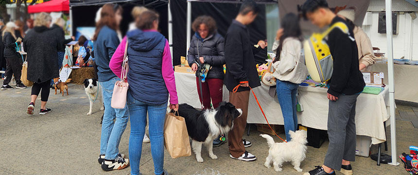 犬がテーマの野外マーケット「ドッグ・デイアウト」をリポート！～南半球のDog's letter～