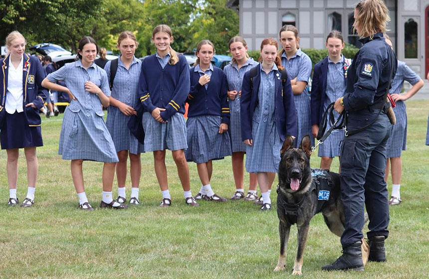 社会科の授業の一環で、訓練中の警察犬とハンドラーが地域の学校を訪ねることもあります