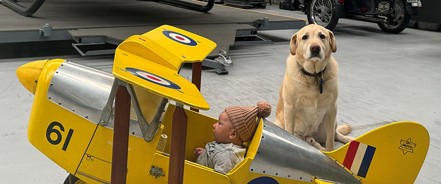 空飛ぶラブラドール！ヘリコプター会社の看板犬をご紹介～南半球のDog's letter～