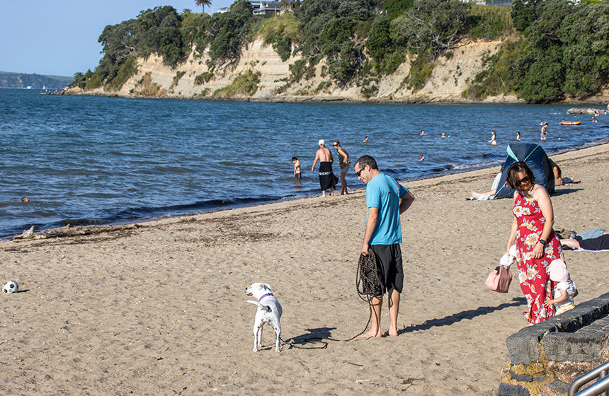 セント・ヘリアス・ベイ・ビーチで会った犬たち。これで夕方18時頃です。