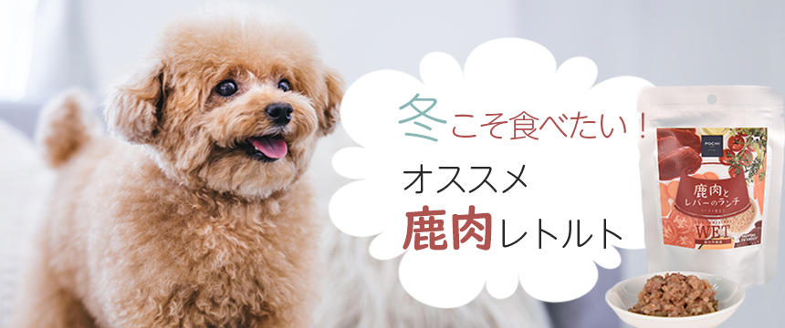 冬の犬の健康管理にこそオススメ！試してほしい、鹿肉を使ったレトルトのこんな与え方