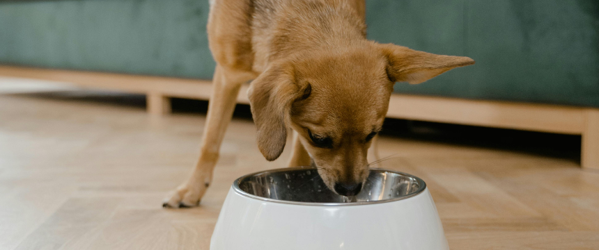カビや細菌に注意！梅雨時期の「フード保存と食中毒」対策