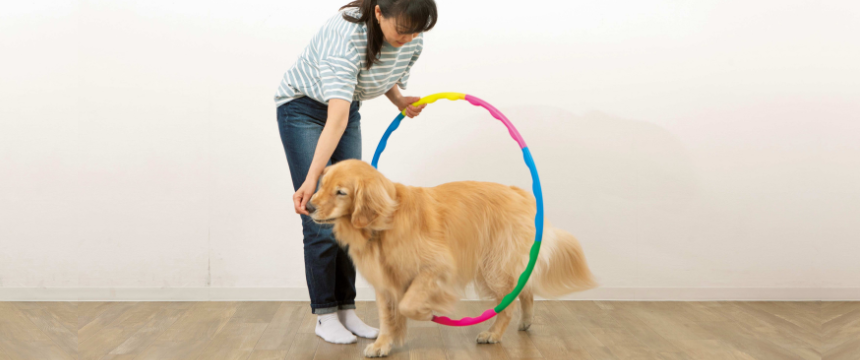 運動不足解消エクササイズ～筋肉・体幹・強化トレーニング編～《RETRIEVER + POCHI archive023》