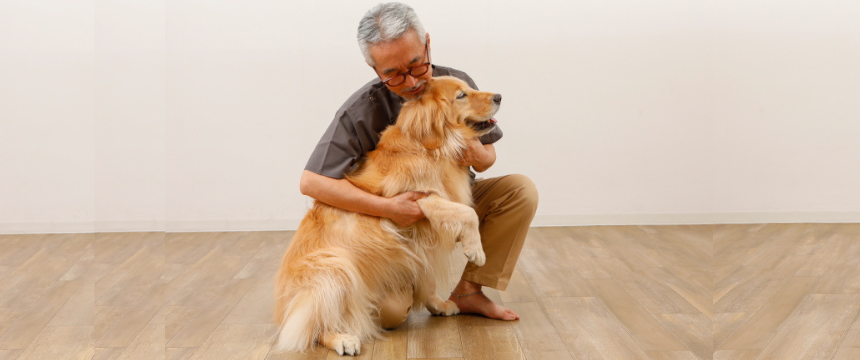 運動不足解消エクササイズ～マッサージ編～《RETRIEVER + POCHI archive024》