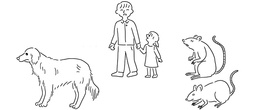 知っていますか？犬レプトスピラ感染症《RETRIEVER + POCHI archive030》