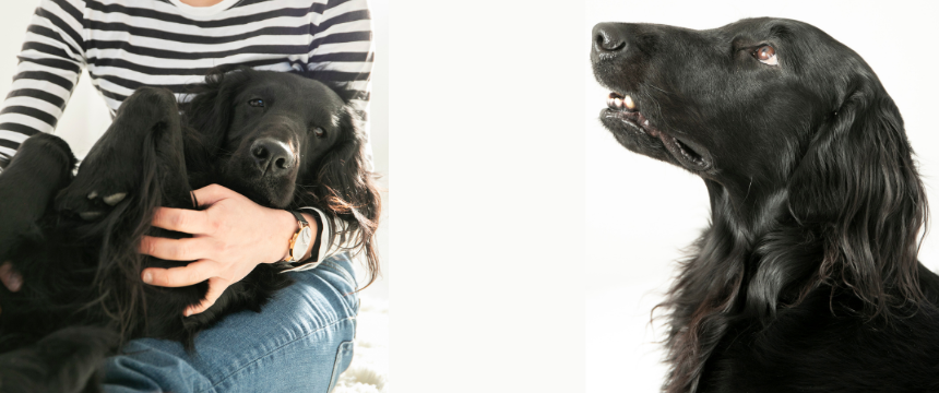 予後を大きく左右するがんの早期発見～そのためにできること～《RETRIEVER + POCHI archive035》