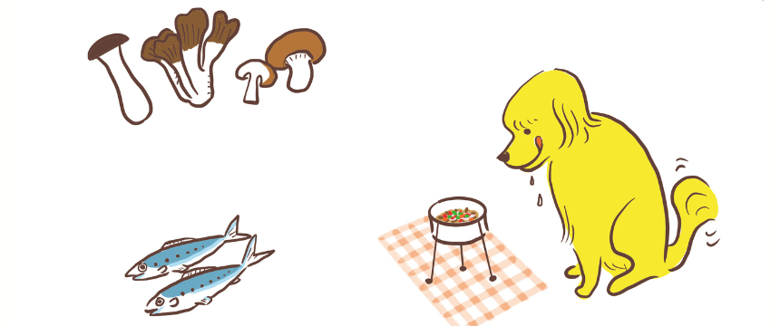 元気な犬とより長く過ごすためのご長寿ごはん《RETRIEVER + POCHI archive036》