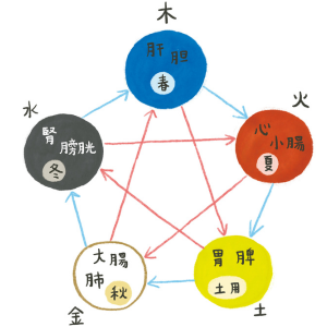 ※青い線→助ける動き、赤い線→妨げる動き