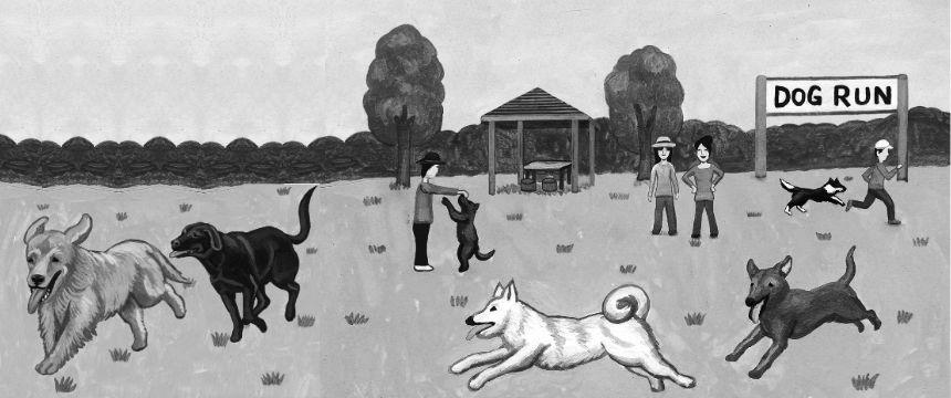 犬と飼い主にとって気持ちのいいドッグランの利用《RETRIEVER + POCHI archive052》