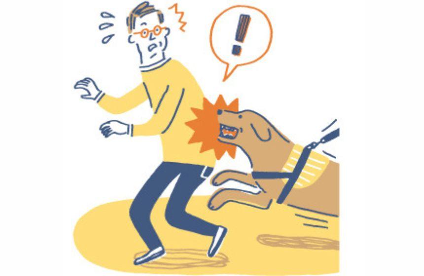 法律のプロに聞いてみた！法律・保険①～思い出を苦笑いに変えてしまわないために～《RETRIEVER + POCHI archive055》