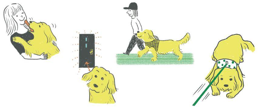 日常のギモンから犬の心の動きを知ろう２《RETRIEVER + POCHI archive060》