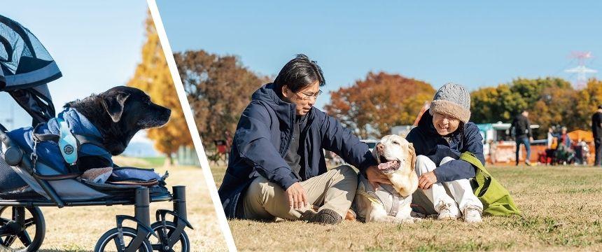 ライフステージ別「好き」の増やし方と生かし方 10〜14歳編《RETRIEVER + POCHI archive073》