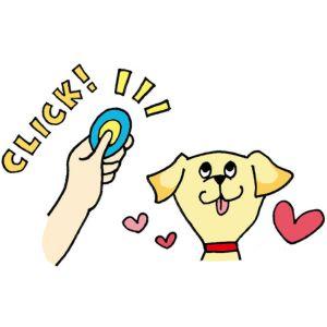 「クリッカーを鳴らす→オヤツを与える」を繰り返すことで、犬は「クリッカーの音＝うれしいことが起きる」と学習します。