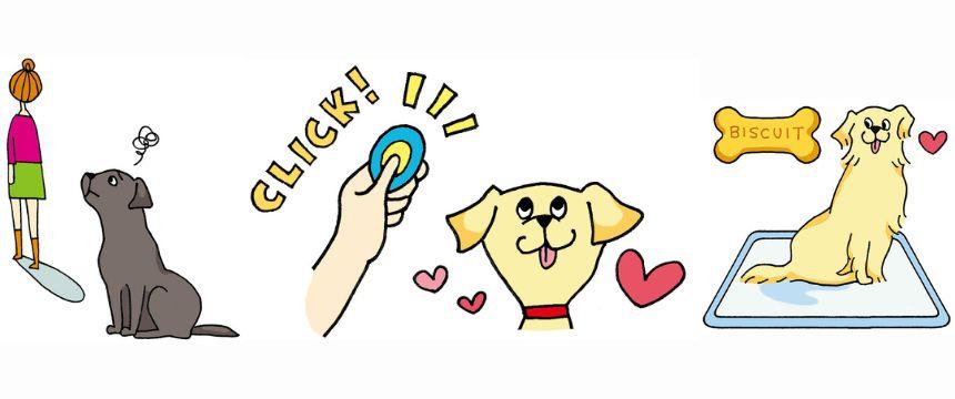 犬の「好き」は楽しみながら増やそう！《RETRIEVER + POCHI archive076》