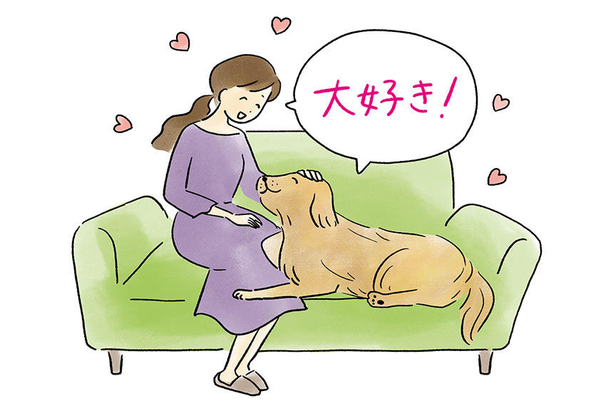 犬と信頼を築く方法《RETRIEVER + POCHI archive002》